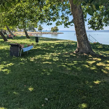Beachfront In Siofok-balaton 58146